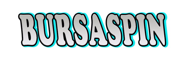 Bursaspin